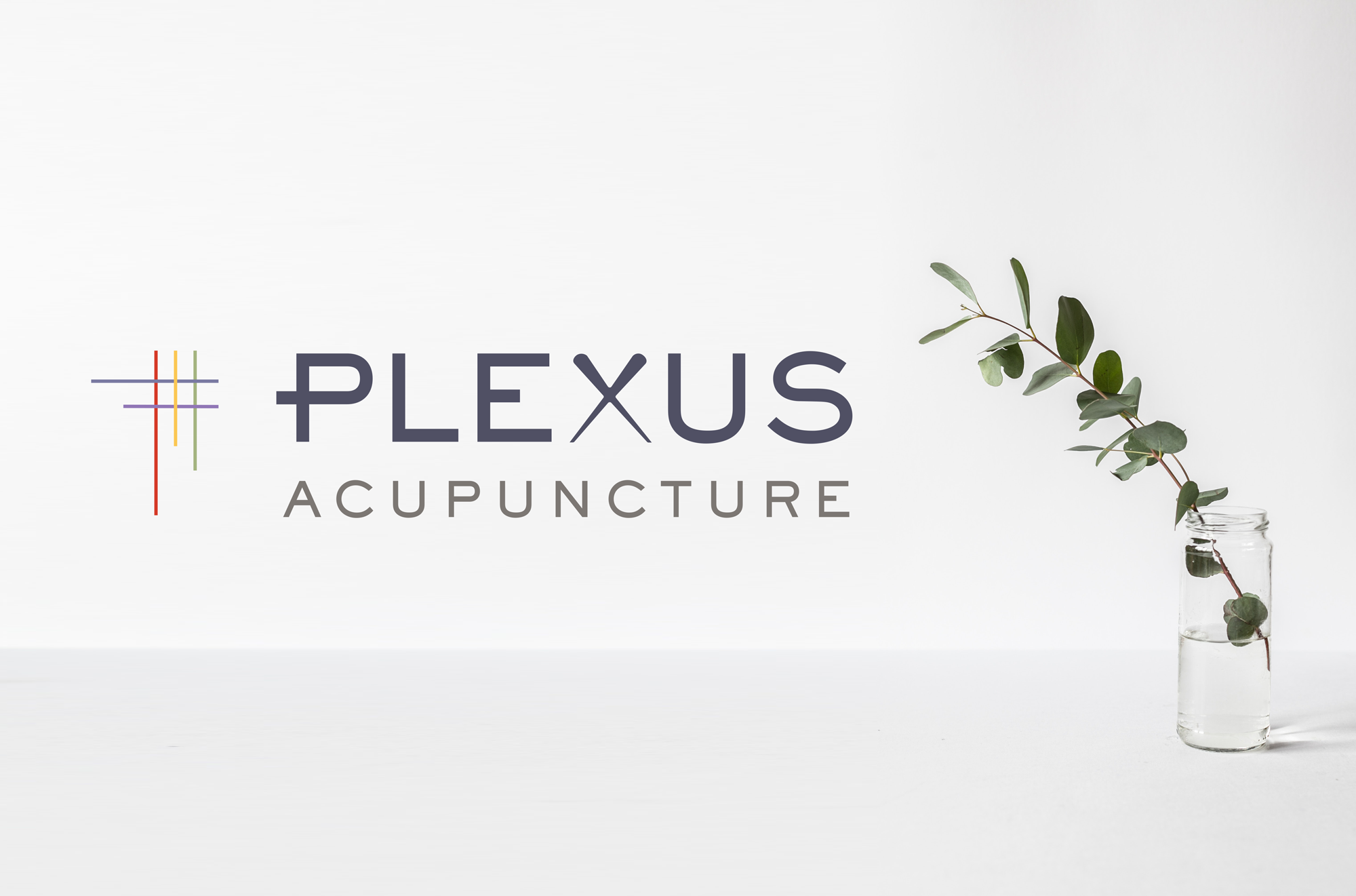PlexusAcupuncture-LogoColor-3